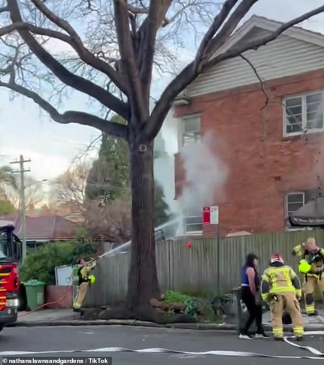 Footage posted by gardener Nathan Stafford shows the home in Glebe (pictured) engulfed in flames as firefighters battled the blaze
