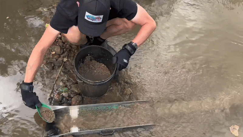 Looking for Colorado gold