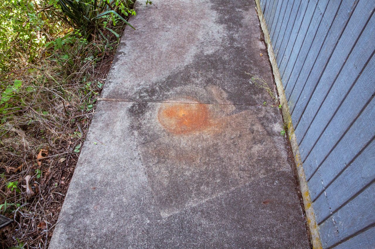 A weathered concrete sidewalk with stains adjacent to a blue wooden wall and overgrown vegetation