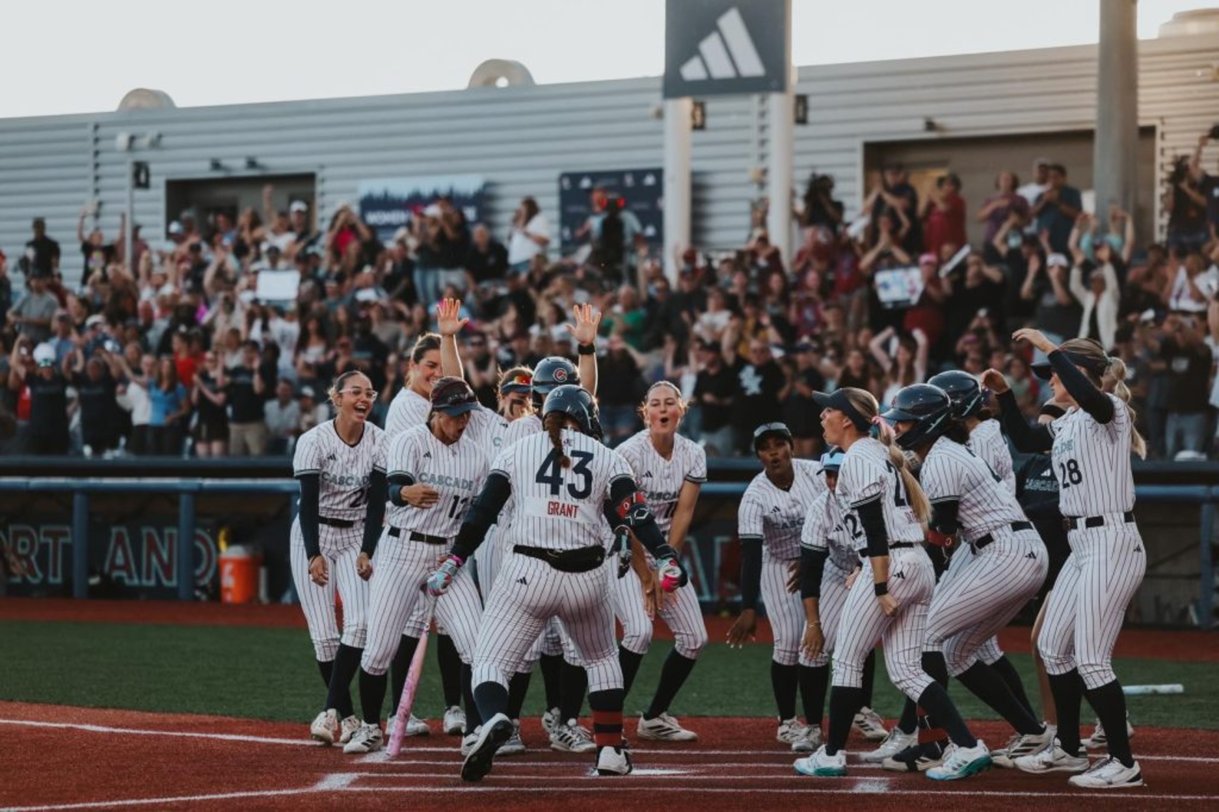 Welcome to the Playoffs: Everything You Need To Know as Three Teams Compete for the AUSL Crown
