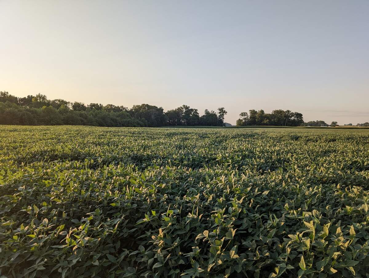 NC targeted for expansion by company that turns human remains into compost