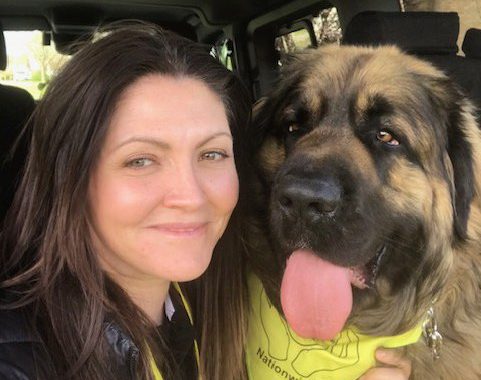Family dog died when pet sitter left him unattended on summer’s day