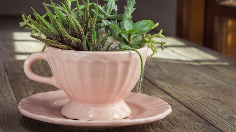 How To Style 11 Of The Most Common Items You'll Find At Thrift Stores In Your Home