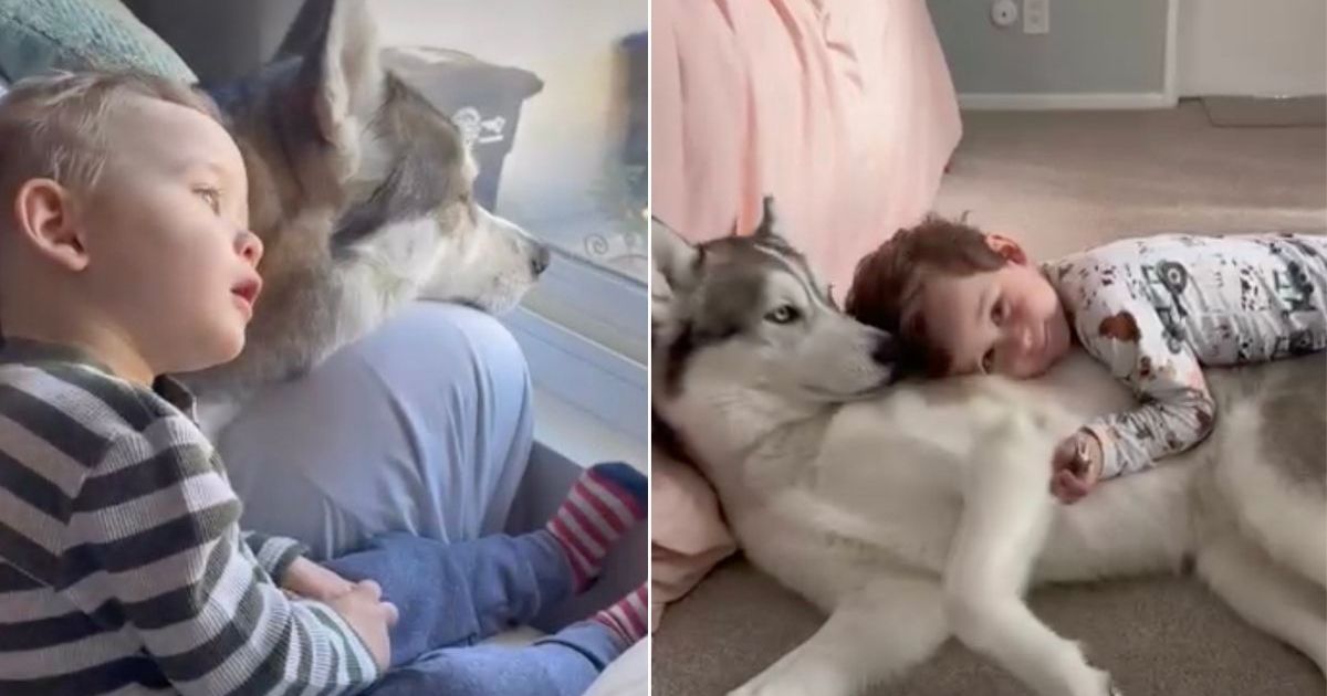 Dog loves baby sibling in a way that says more than words ever could