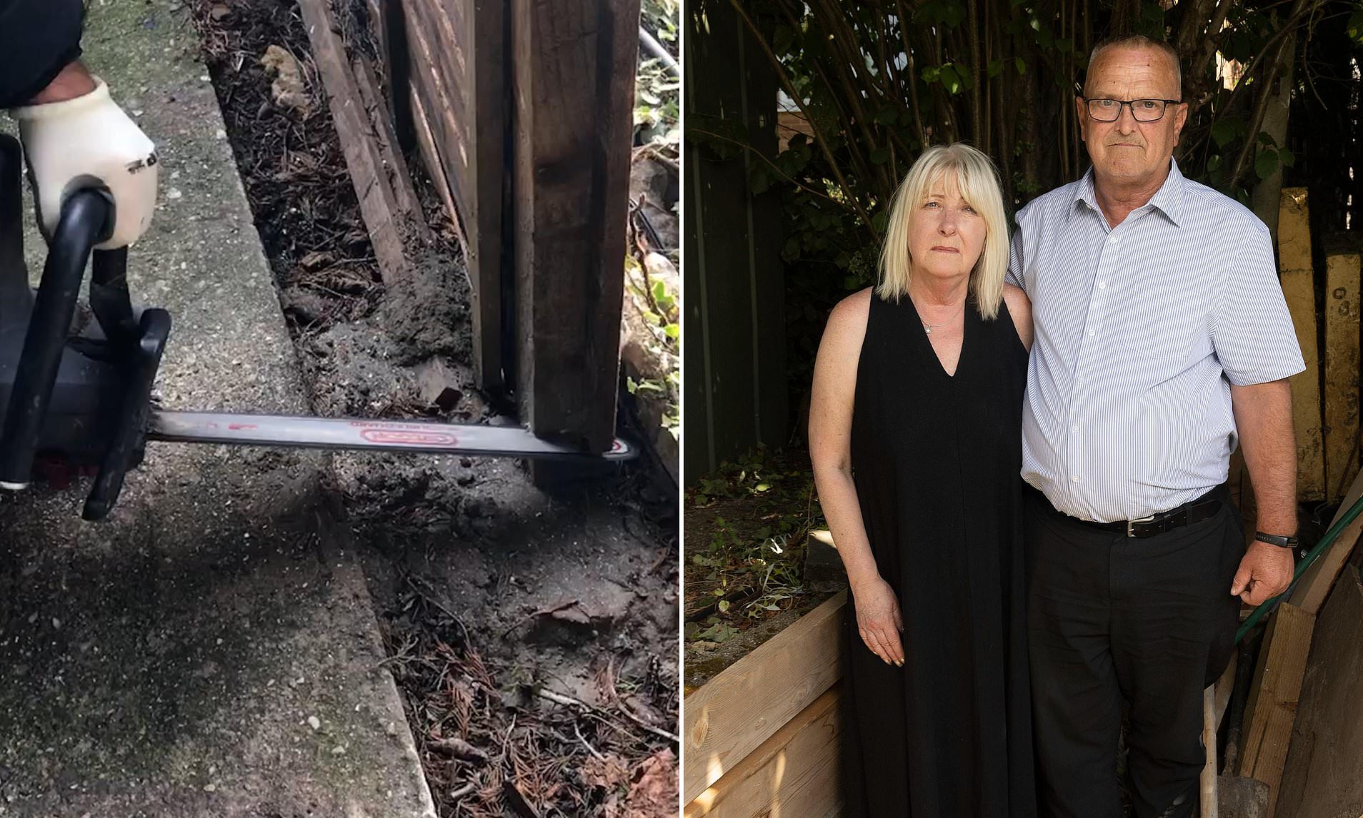 Moment 'bullying' family take CHAINSAW to their neighbours fence in Leylandii boundary row