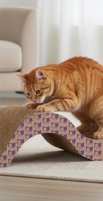 Cat scratching a wave-shaped cardboard scratcher in a living room