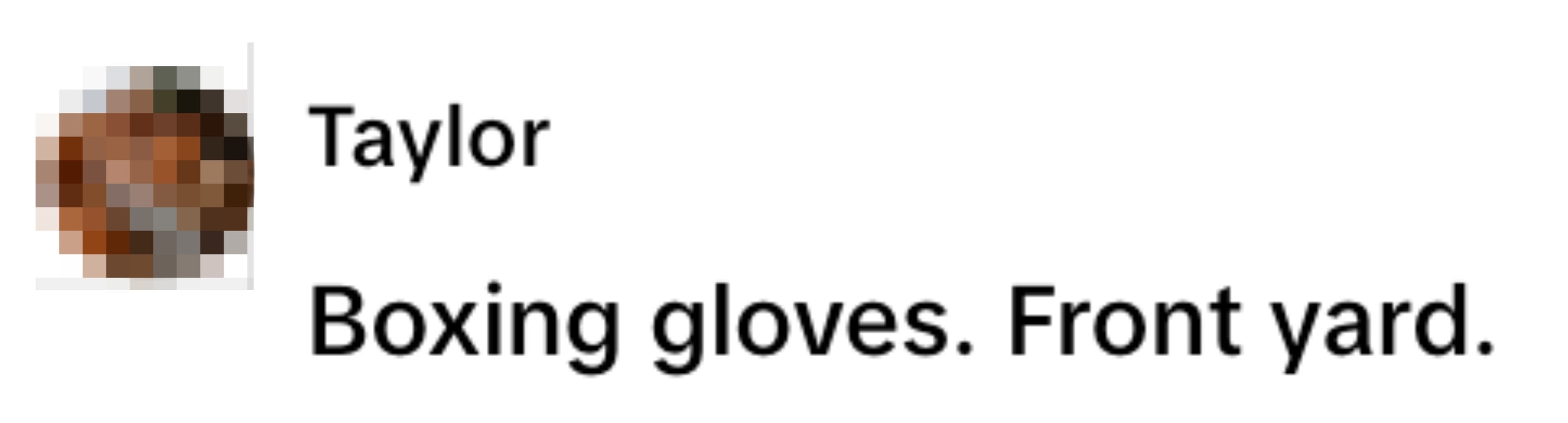 Profile picture of a person sitting on a couch. Text reads: "Taylor: Boxing gloves. Front yard."