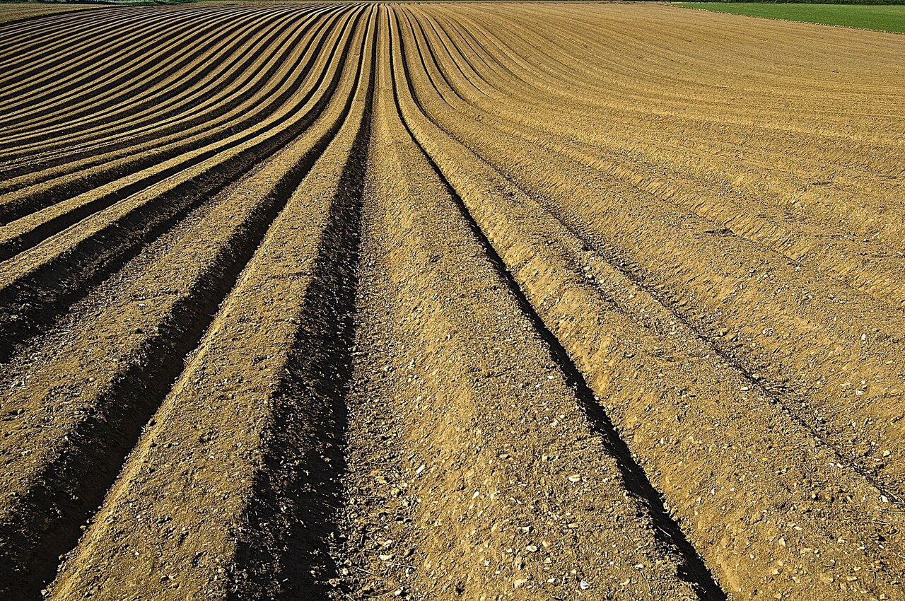 Removing 'forever chemicals' from farmlands—at a fraction of the cost