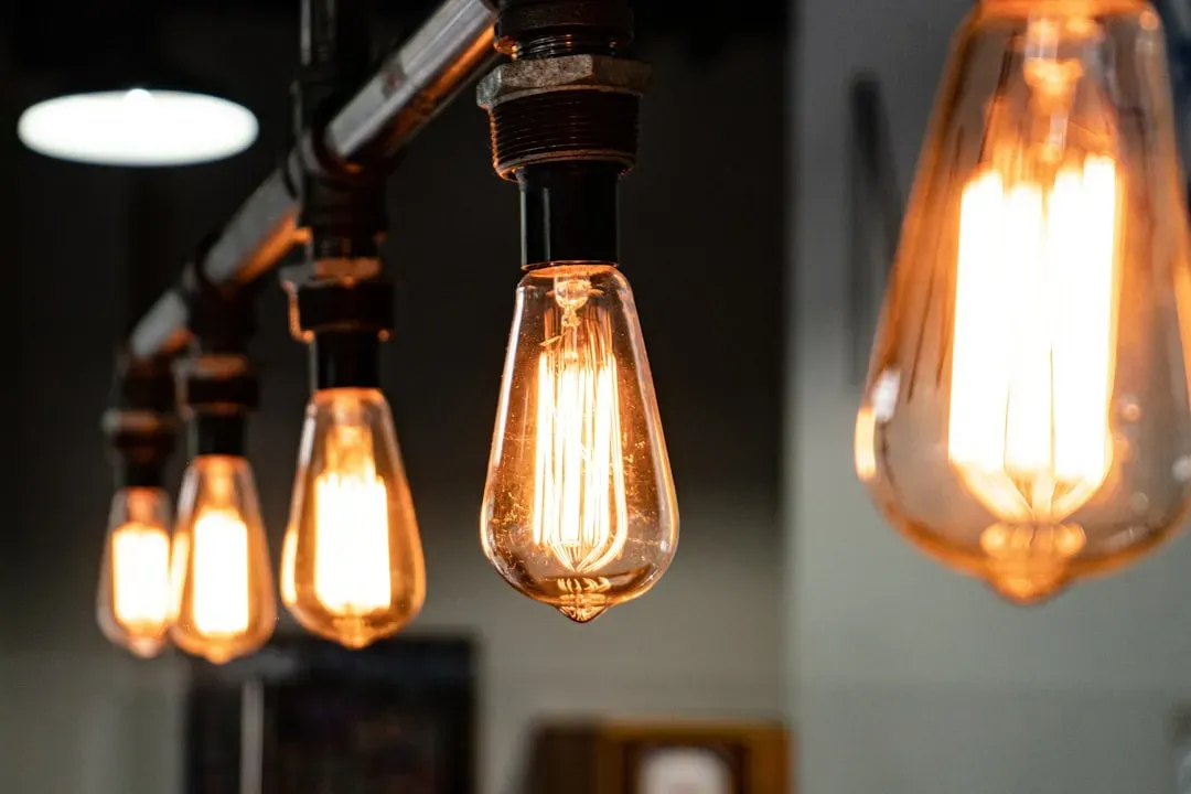5. They keep the temperature and lighting comfortable, not just decorative (Image Credits: Unsplash)