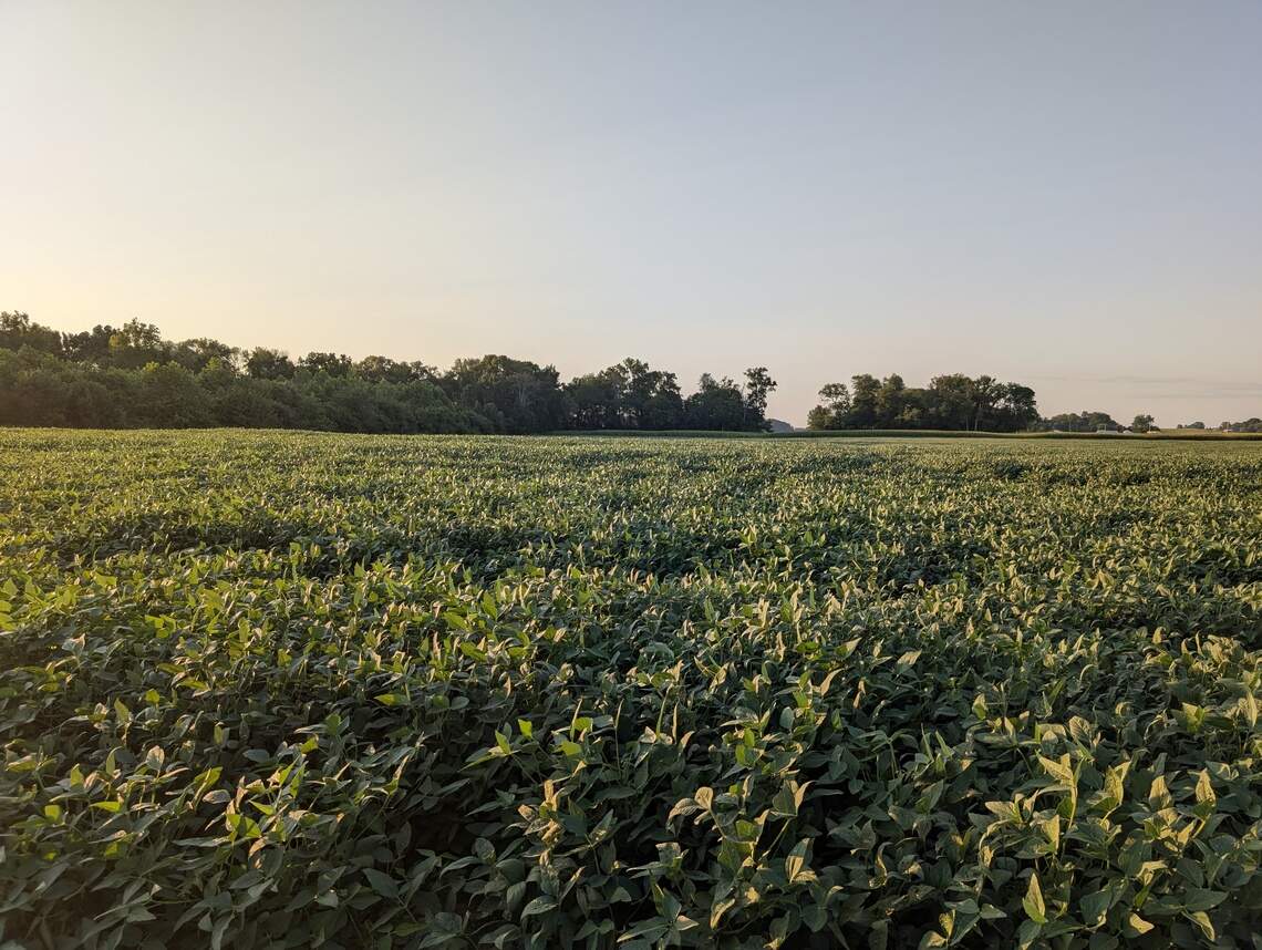 After using Earth Funeral for human composting services, the family of Myra Emerson spread a portion of her remains in the woods of her family farm in Evansville, Indiana.
