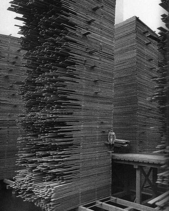 Snapshots Of Another Time: 44 Important Historical Images With More To Say