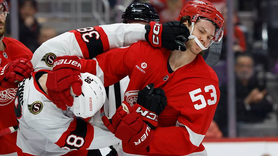 The biggest losers in the Detroit Red Wings breakup saga