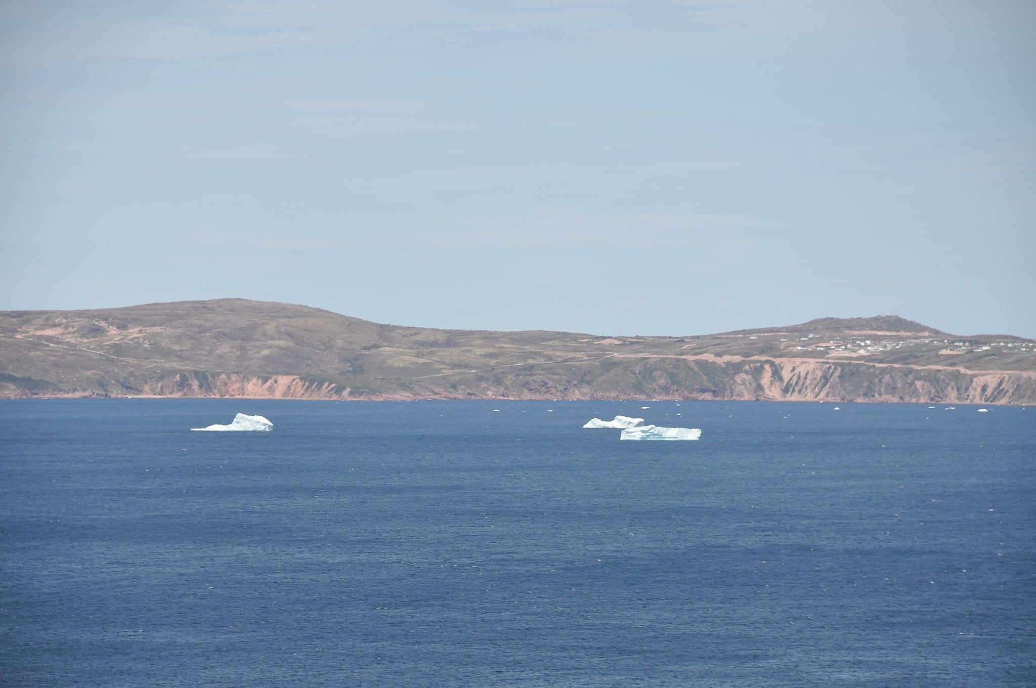 3. Icebergs float right past the city