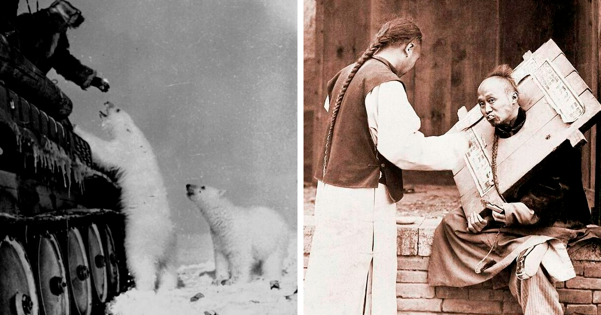 Snapshots of another time: 44 important historical images with more to say
