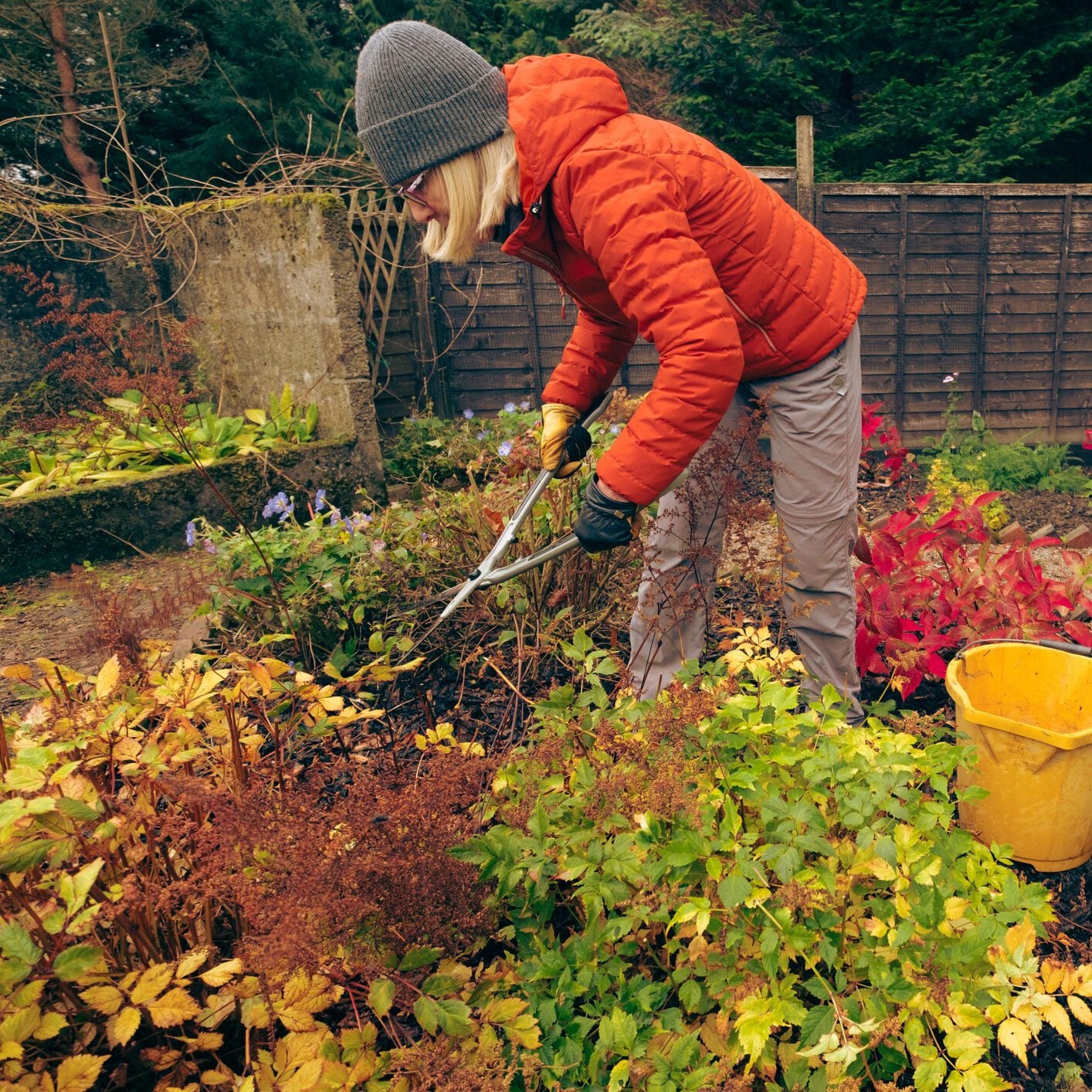 6 ways to prep your garden for winter