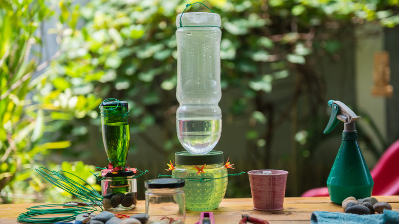 The overlooked downside to DIY hummingbird feeders that you should watch for