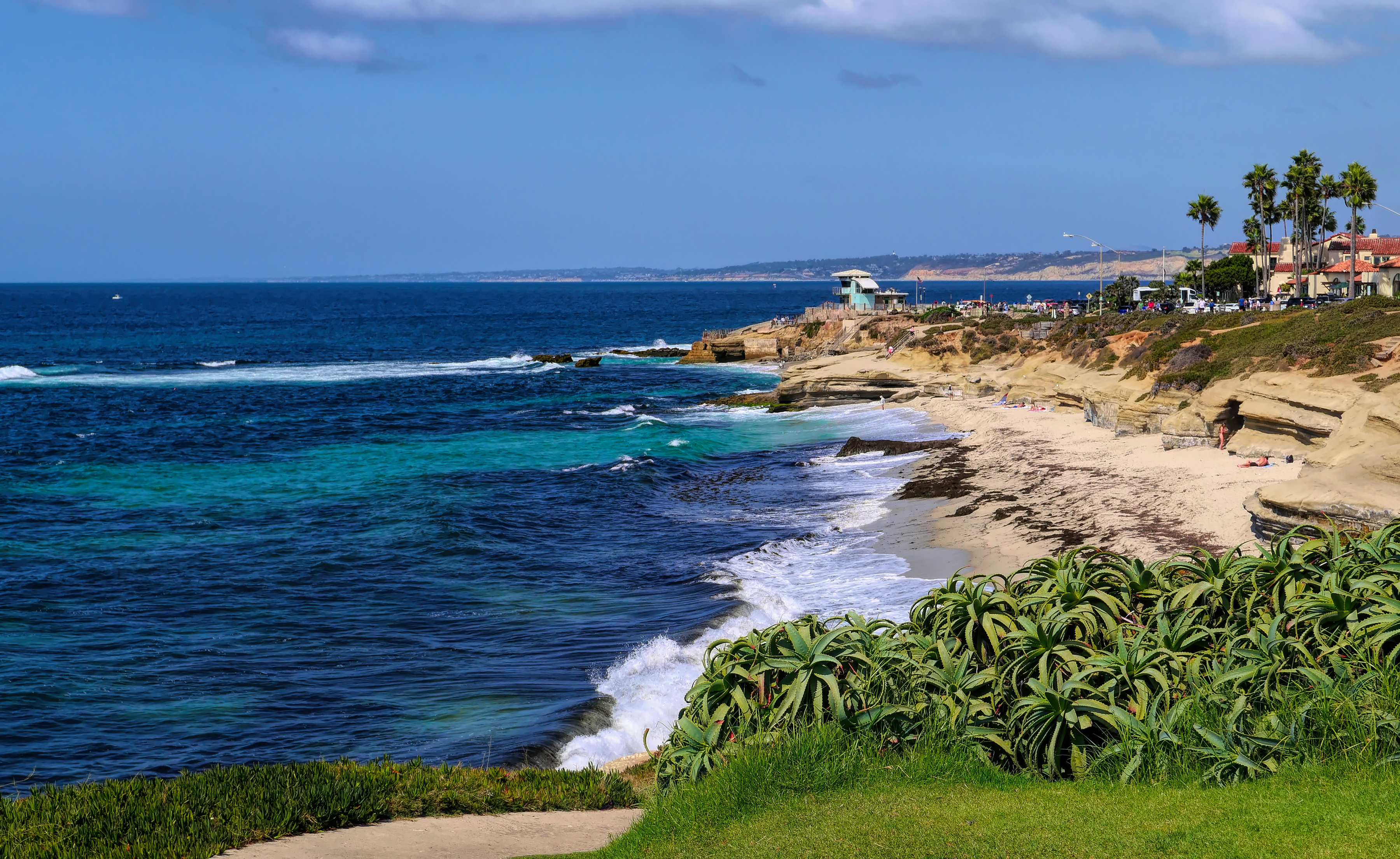 Horror as body washes ashore near America’s top beach