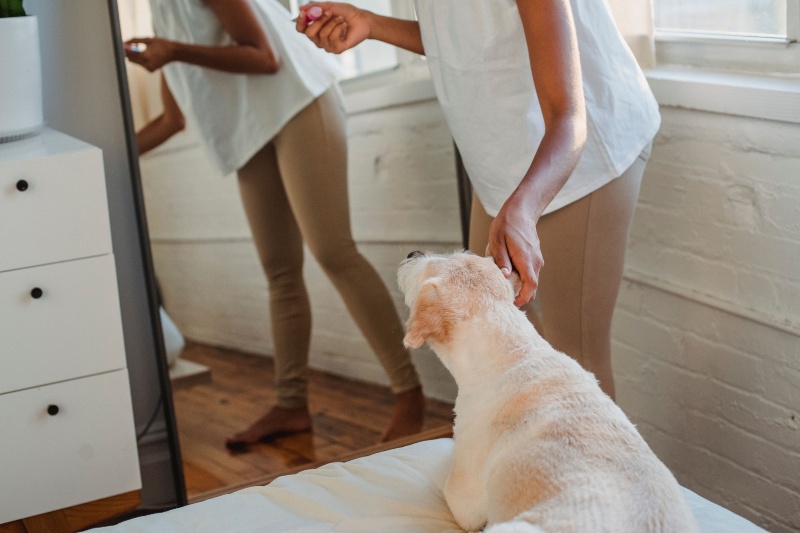 Can dogs recognize themselves in a mirror? Science explains