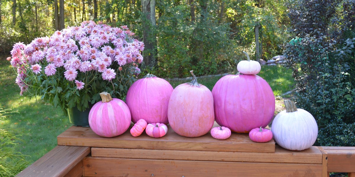 Designers are calling this the color of Halloween for 2026