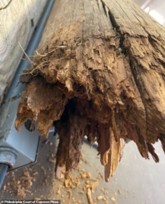 A wrongful death lawsuit alleges that stormwater runoff decayed the pole that allegedly killed Budin