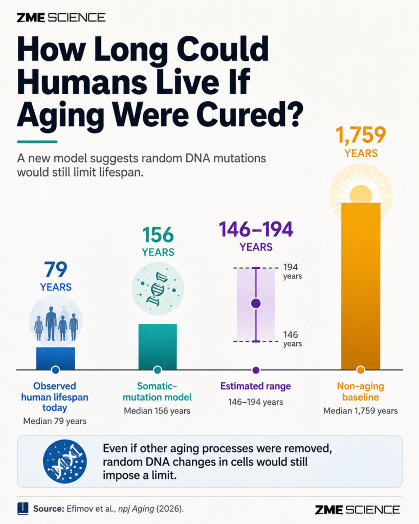How Long Could Humans Live If We Cured Aging? People Might Live to 200 Years Before DNA Damage Kills Them