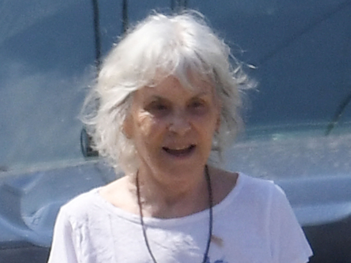 ’70s actress looks unrecognizable during L.A. outing: photos