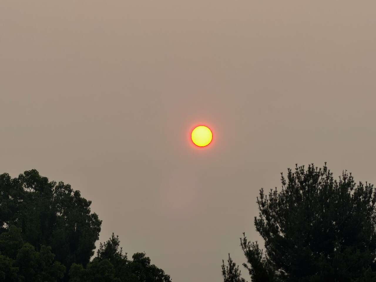 Economic group claims Michigan businesses saw billions in losses from wildfire smoke