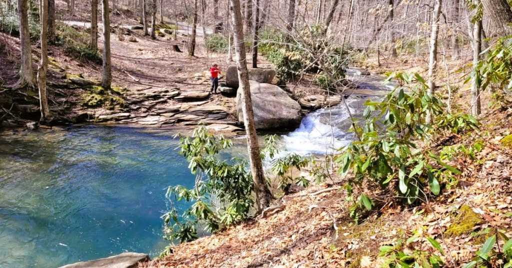 A person standing in Forbes State Forest in PA, featuring a clear blue stream flowing over rocks, surrounded by greenery,