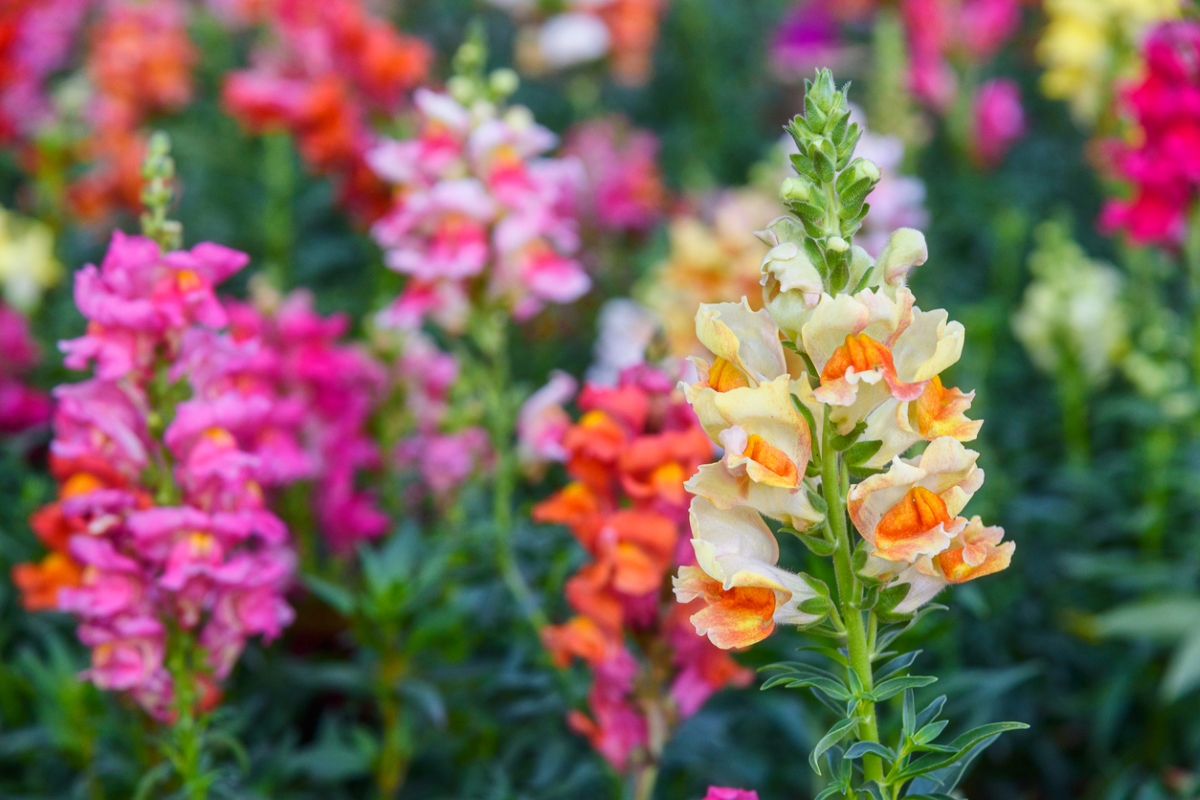 Photo: iStock