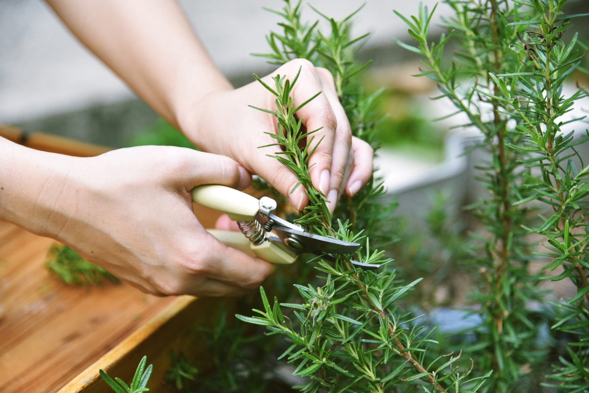 Photo: iStock