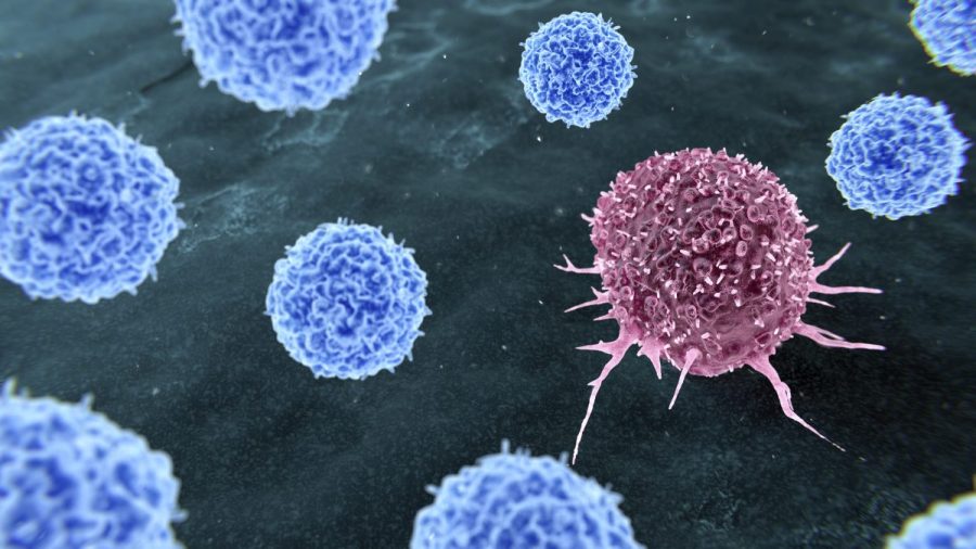 Toxic chemicals found in New Jersey 'cancer cluster' town