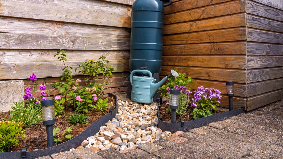 How to turn your roof’s gutters into free garden water and save on bills