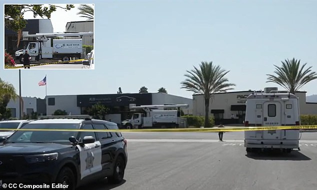 Suspect in alleged California carjacking dies