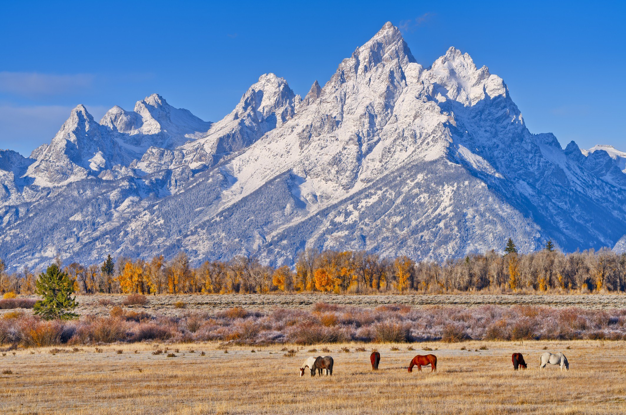 Grand Teton National Park in Wyoming