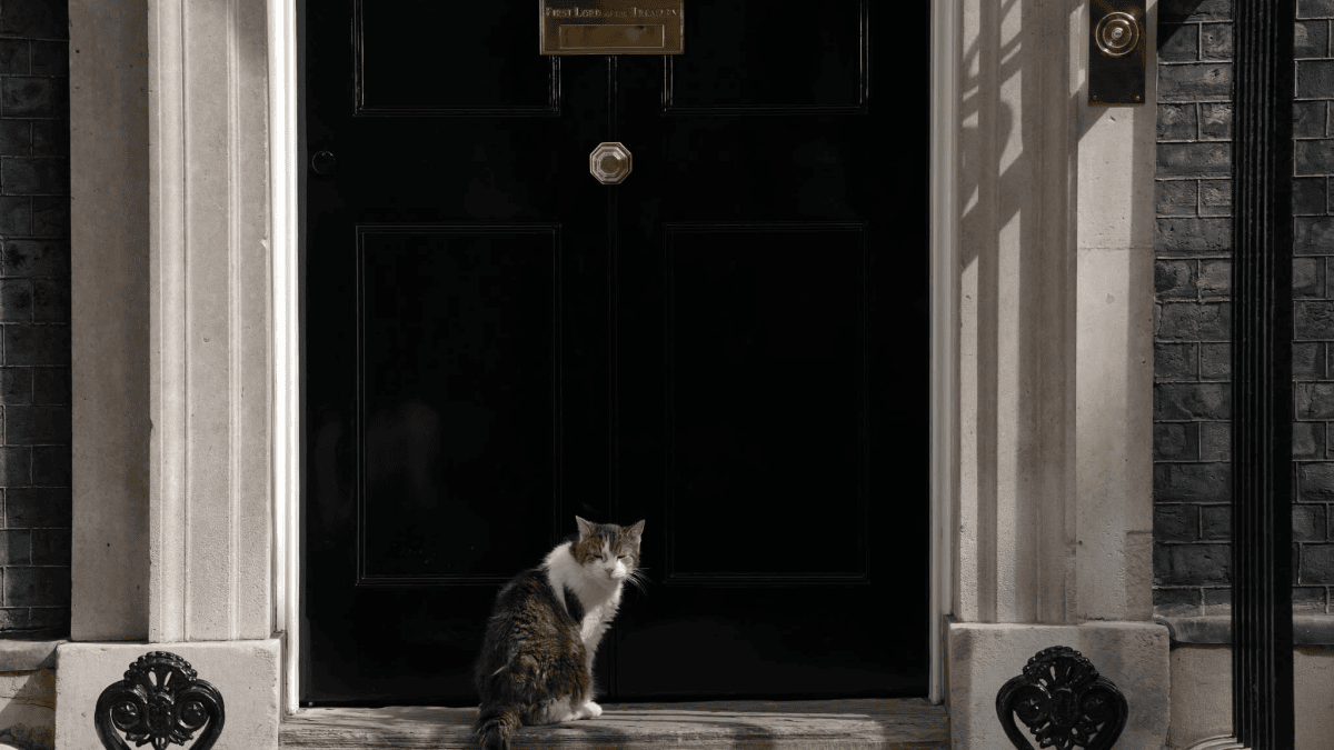 Larry, the cat who has seen seven prime ministers come and go and still reigns in Downing Street