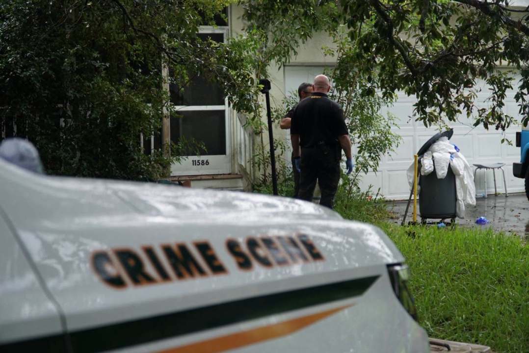 Florida USPS worker arrested after 92 cats, dogs found in home