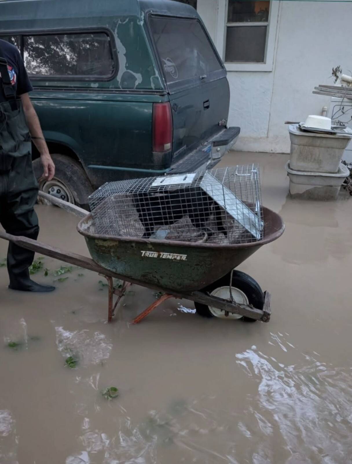 Rescuers Rush To Help During Texas Floods And Find Hundreds Of Animals Stranded