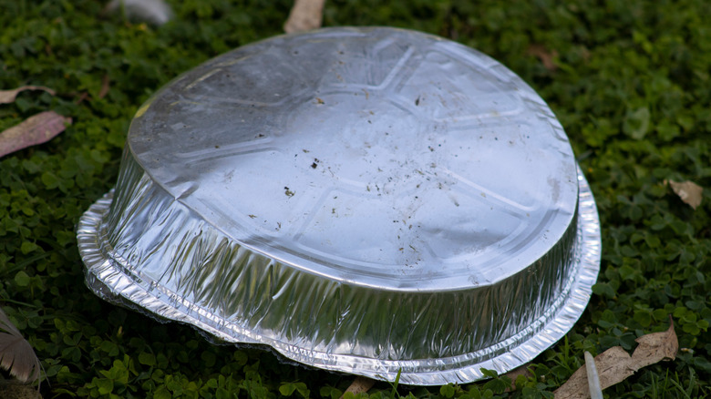 If Squirrels Won't Stay Out Of Your Bird Feeder, Try This Genius Pie Pan Hack