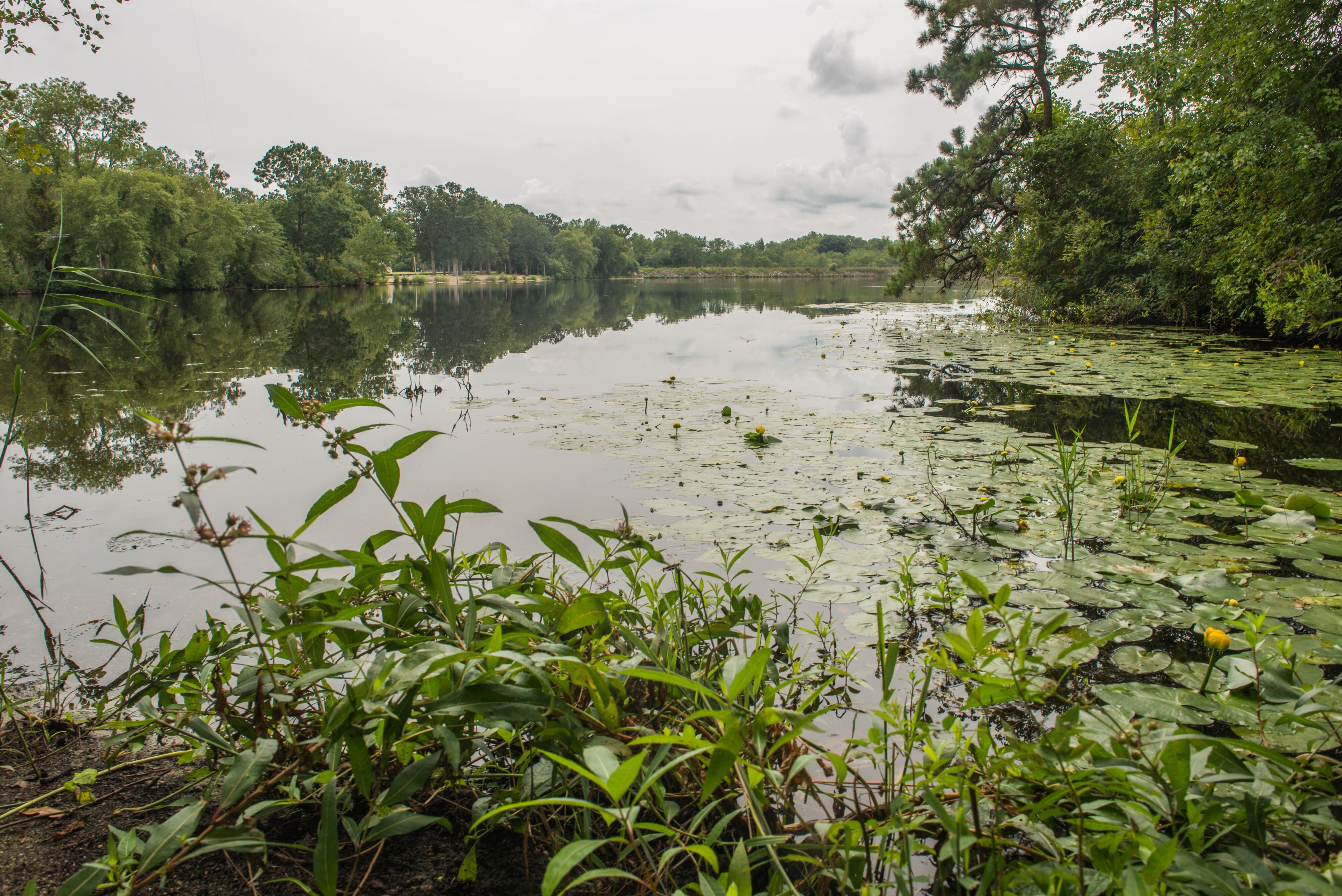 Authorities are investigating the death of a Cumberland County man who was found in a local lake last week.