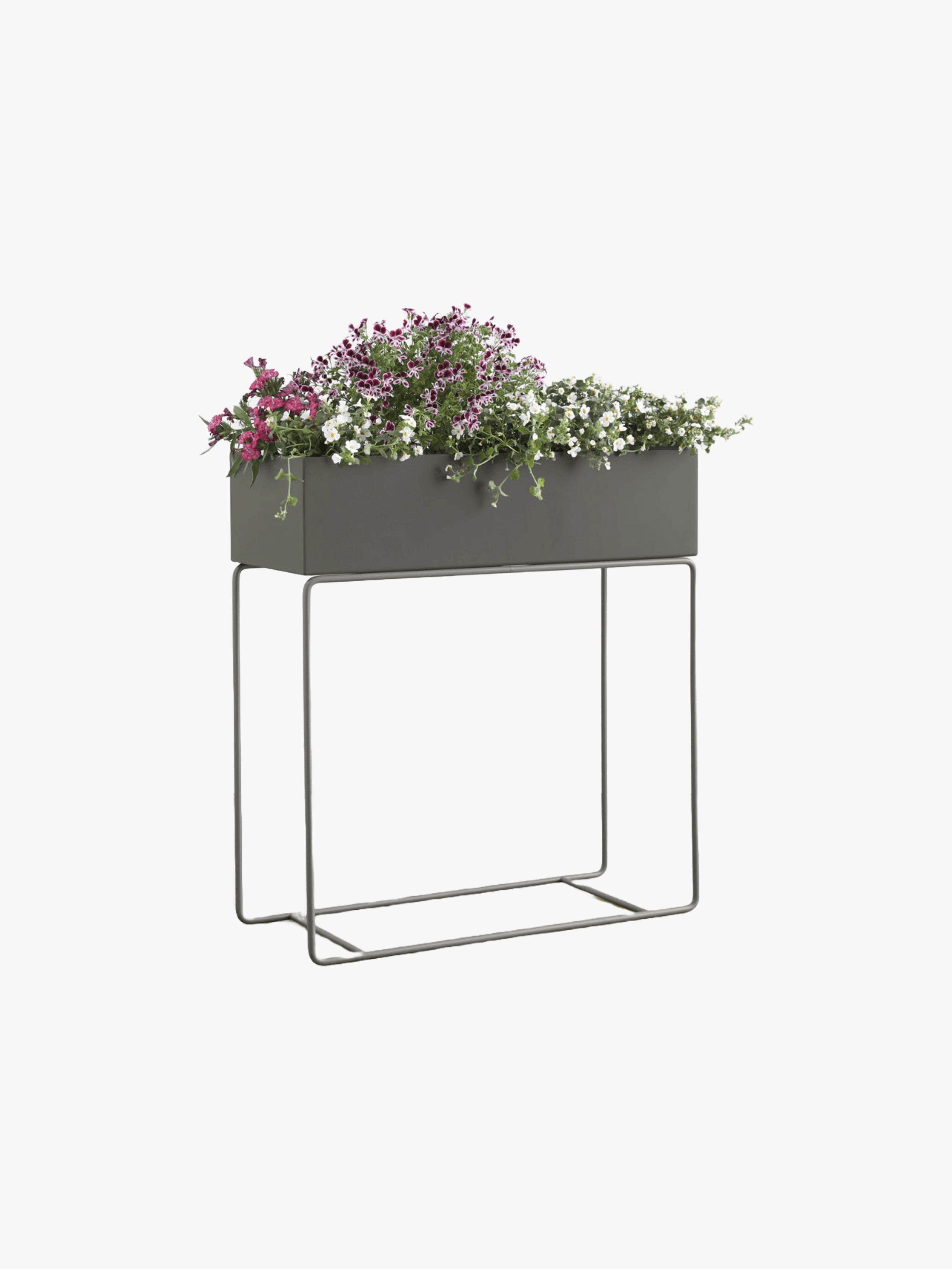 11 Indoor Flowering Plants for Bold Blooms That Last