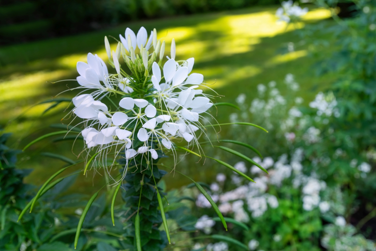 Photo: iStock