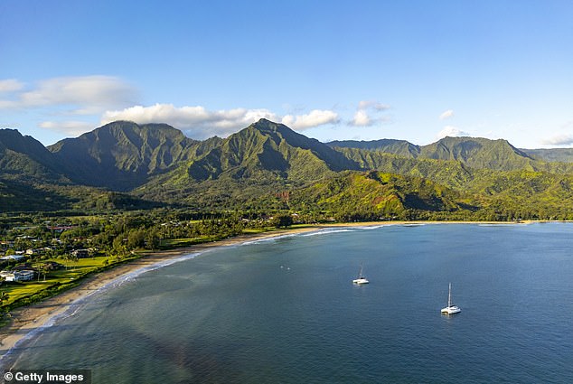 Critics argued that the redesigned license failed to capture Hawaii’s celebrated natural beauty, culture and identity (stock)
