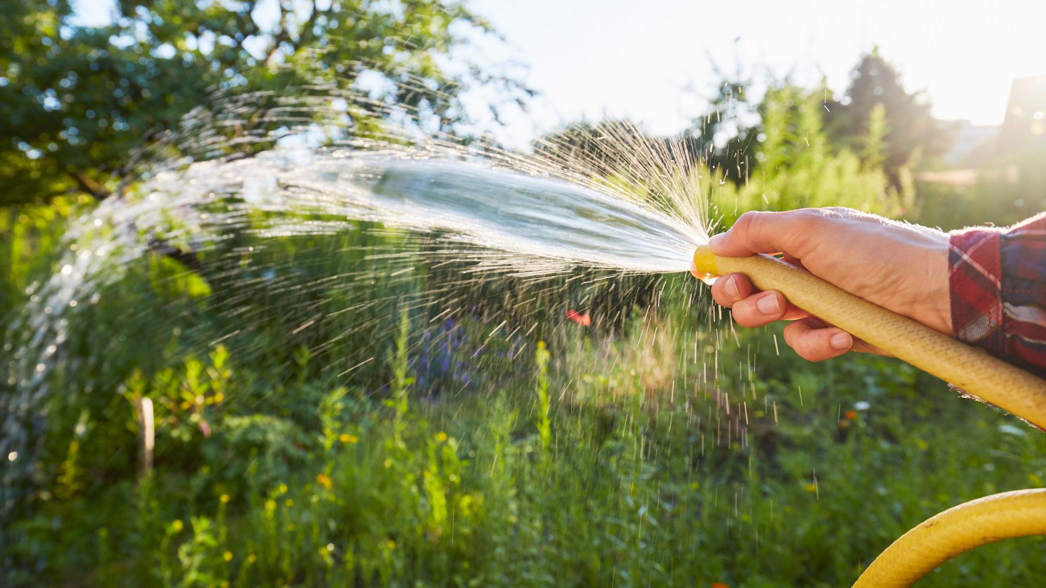 Hosepipe ban across Republic of Ireland but NI avoids same precaution