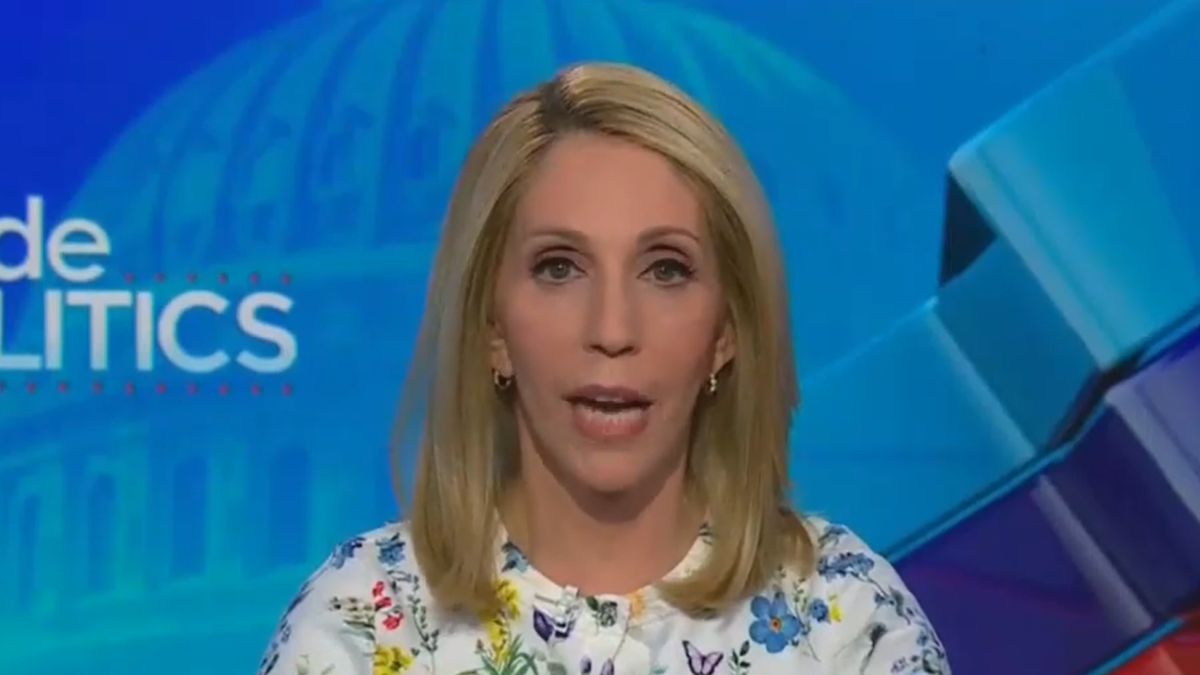cnn-dana-bash-accuses-president-donald-trump-family-profiting-insider-trading