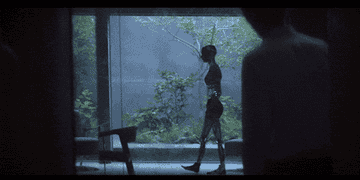 Silhouette of a humanoid robot walking in a dimly-lit room with plants visible through a large window
