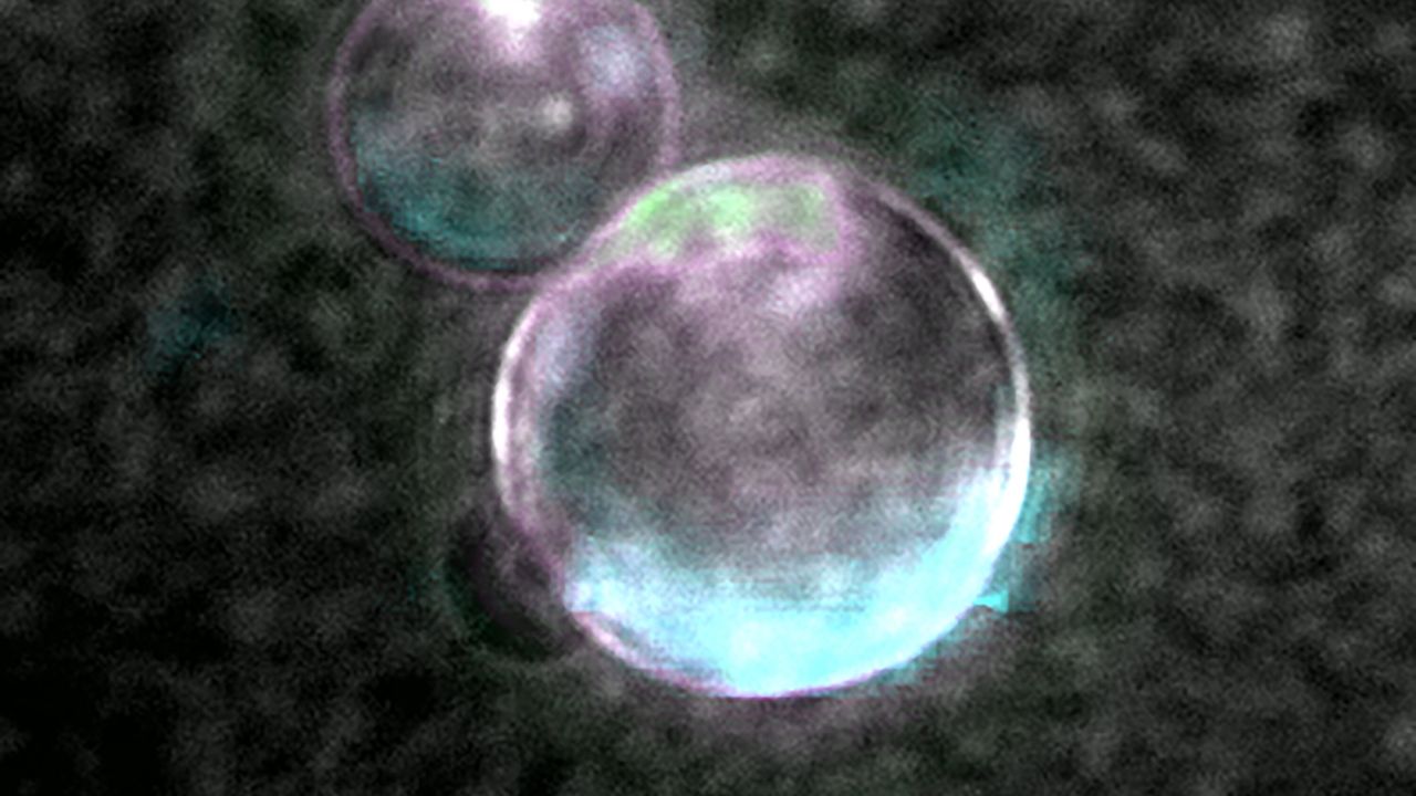 Creating almost-life in the lab
