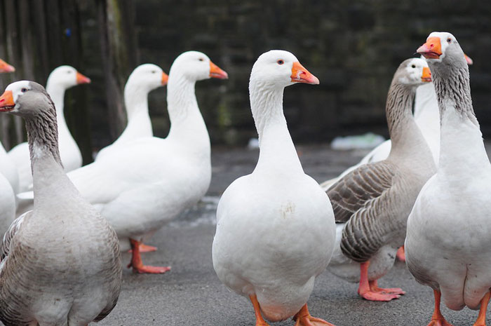Workplace Absurdities: 36 Stories About The Frustrations Employees Faced
