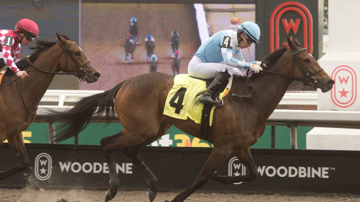 Dakotah Blue tries stakes company in Ontario Colleen