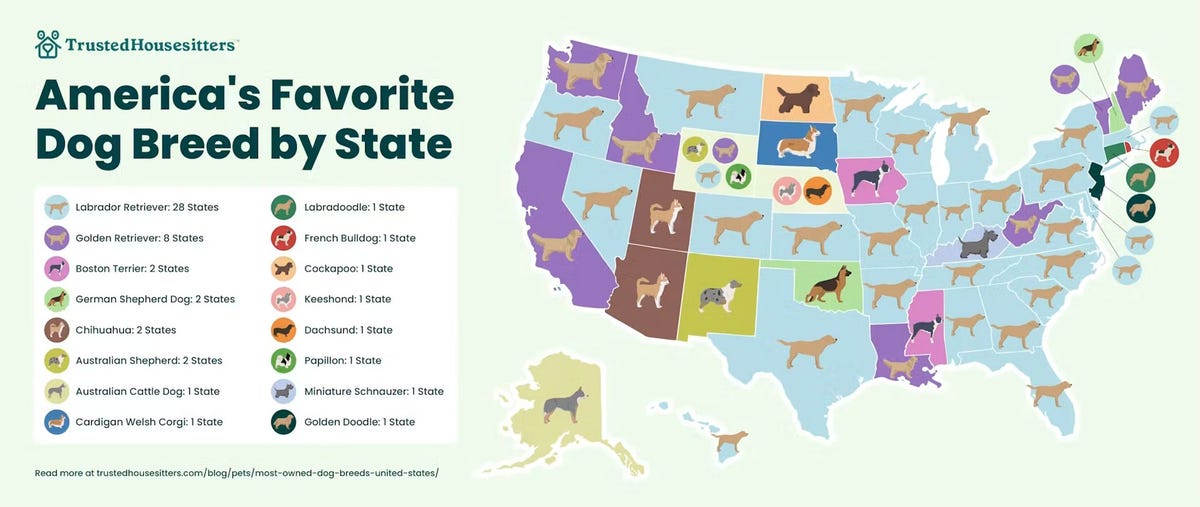 popular-dog-breed-by-state.jpg