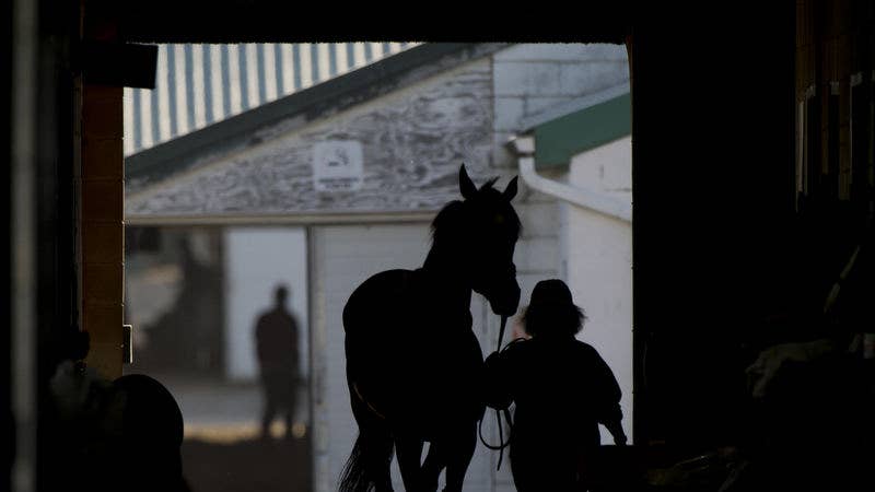 Kentucky assistant trainer ruled ineligible 10 years over electrical device